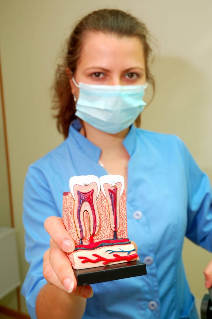 medford endodontics illustration